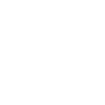 Citipen