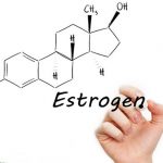 20200219 103331 814300 estrogen thay doi h.max 1800x1800 1 7 nội tiết tố nữ và cách chúng ảnh hưởng đến cơ thể bạn CITIPEN