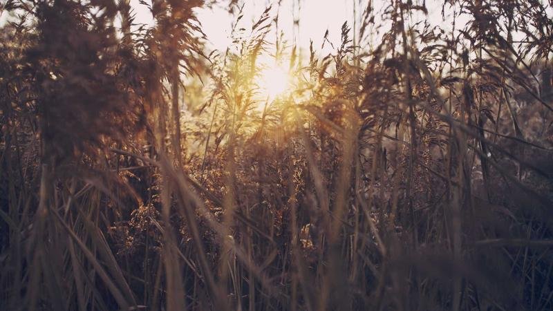 AI Agents 2026: 5 Tools That Run Your Business For $10/Month - agents tools image 1