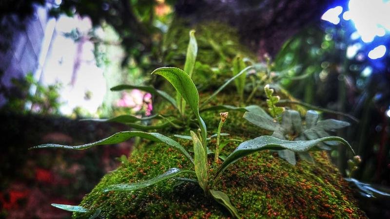 2026 Climate Crisis: Extreme Weather Is Shattering Every Record - climate crisis image 2