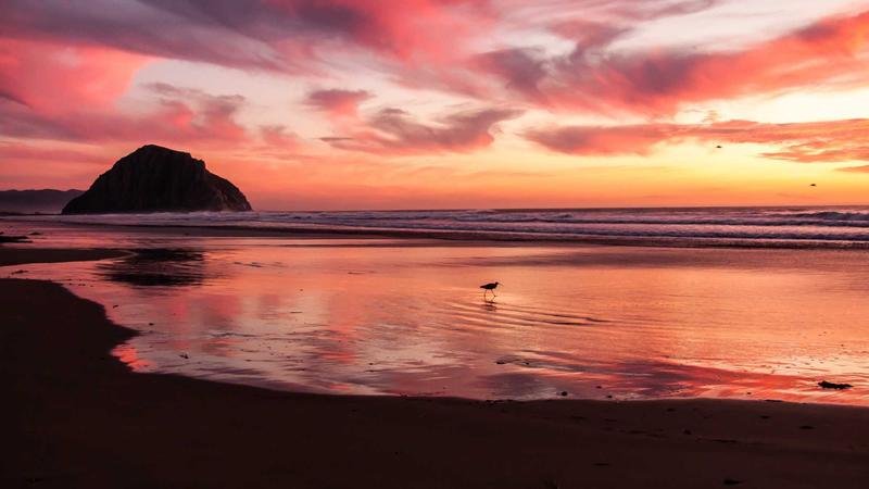 Food Trends 2026: Mushrooms, Functional Foods, and AI Nutrition Win - food trends image 2