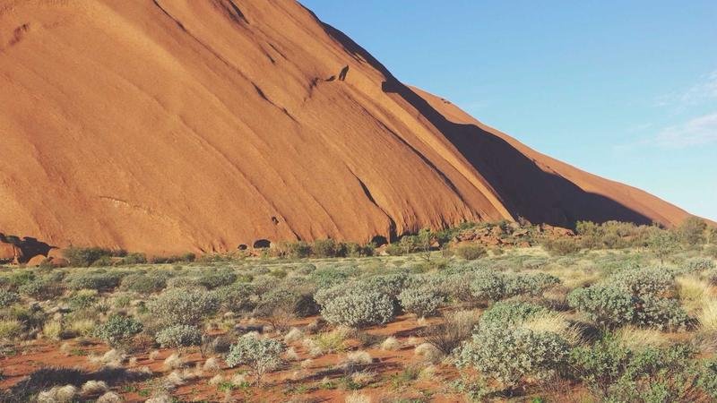 Grok AI 2026: From Memes to Pentagon — What Just Happened - grok memes image 1