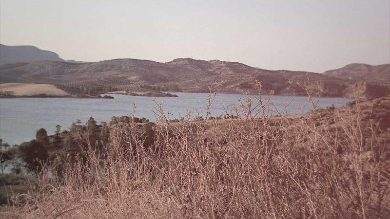 Stranger Things Ends, Zootopia 2 Smashes Records, Oscars Shock - stranger things image 1